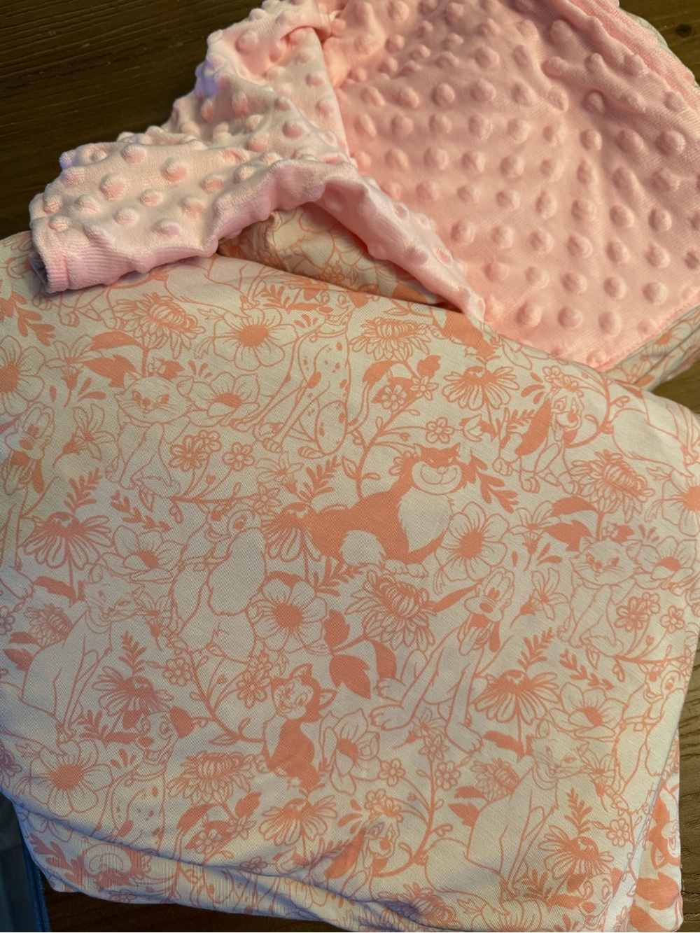 Gigiโs bamboo Soft Pink disney pets Print Blanket - Cozy minky dot Backing